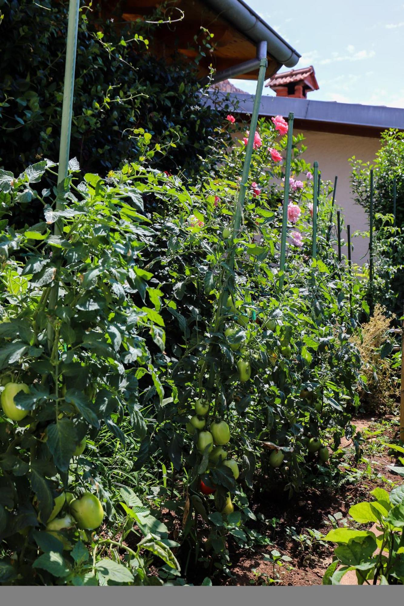 Apartment Garden M&M Dubrovnik Exterior photo